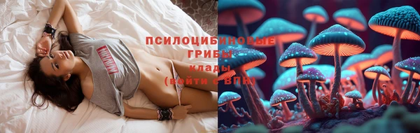 спиды Арсеньев