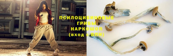 спиды Арсеньев