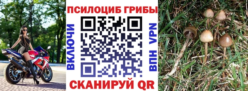 Галлюциногенные грибы ЛСД  Балтийск 